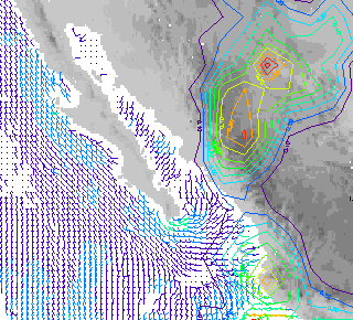 Wind field in the Baja Peninsula area showing a southerly wind surge up the gulf